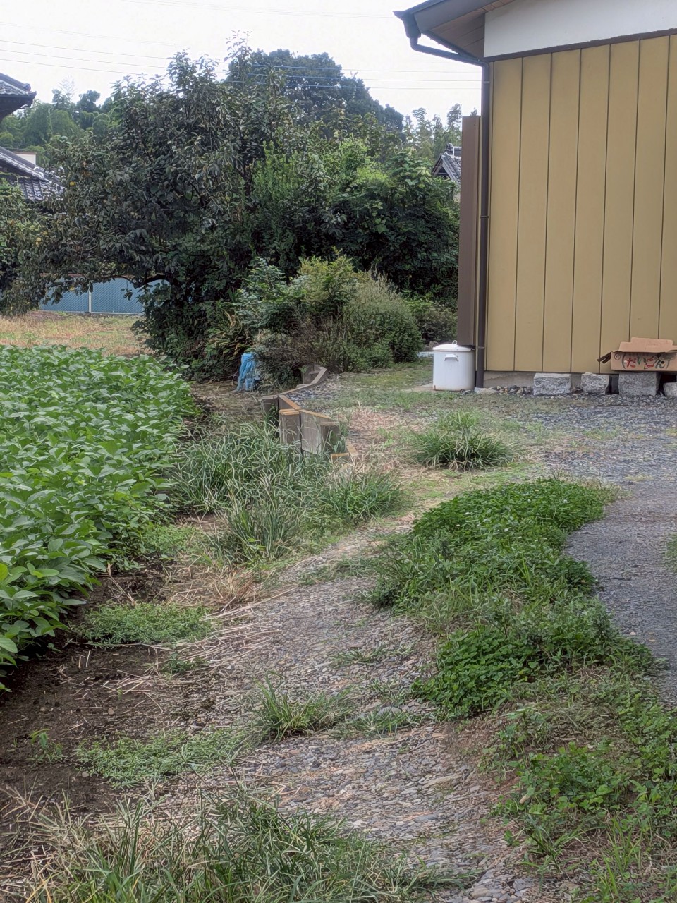 土留め工事Before